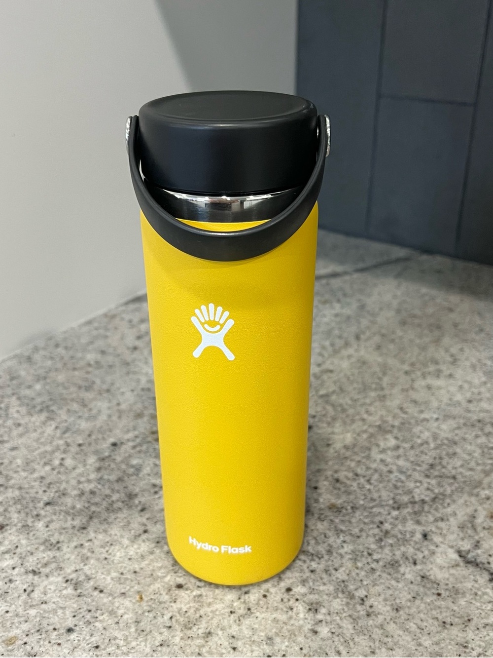 Hydro Flask 20 oz. Wide Mouth With Flex Cap Water Bottle